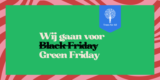 Green Friday - LieLei